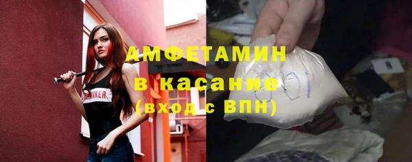 сатива Армянск