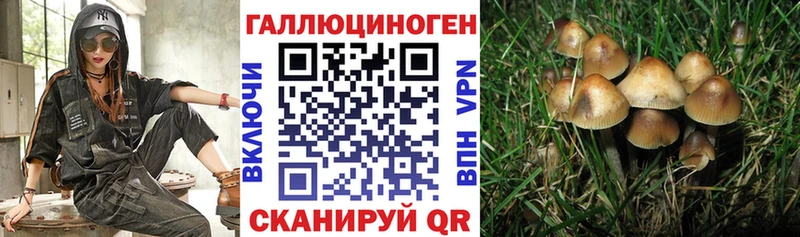 Галлюциногенные грибы ЛСД  mega ССЫЛКА  Багратионовск 
